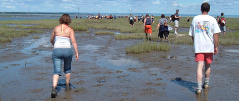 Sentier de la Bouette