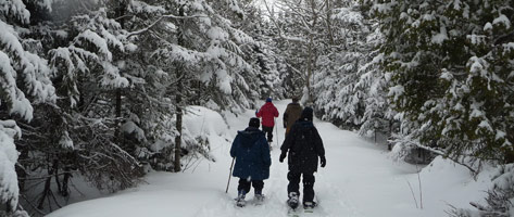 Raquettes et ski de fond Raquettes et ski de fond